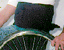 Body Bracer