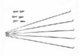 Spokes