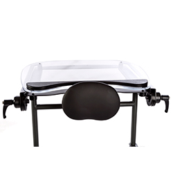 EasyStand Evolv - Medium - PNG50489 Clear Angle Adjustable Tray for Swing-Away