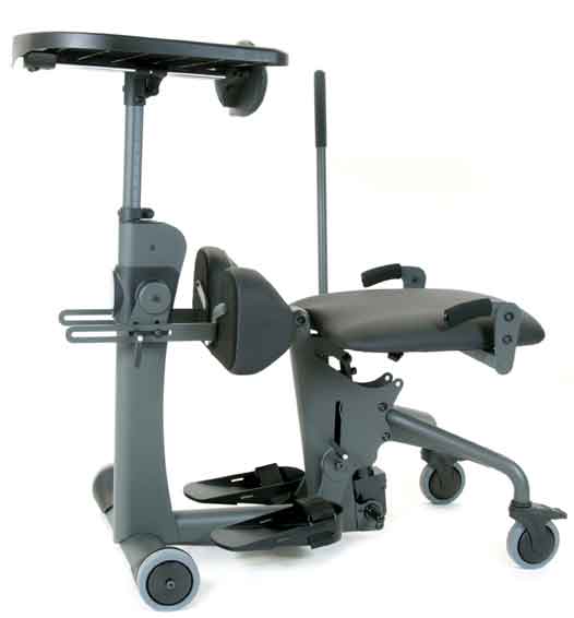 EasyStand 66-0062 Evolv, Large